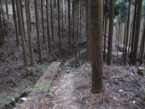 20140105hike (301)